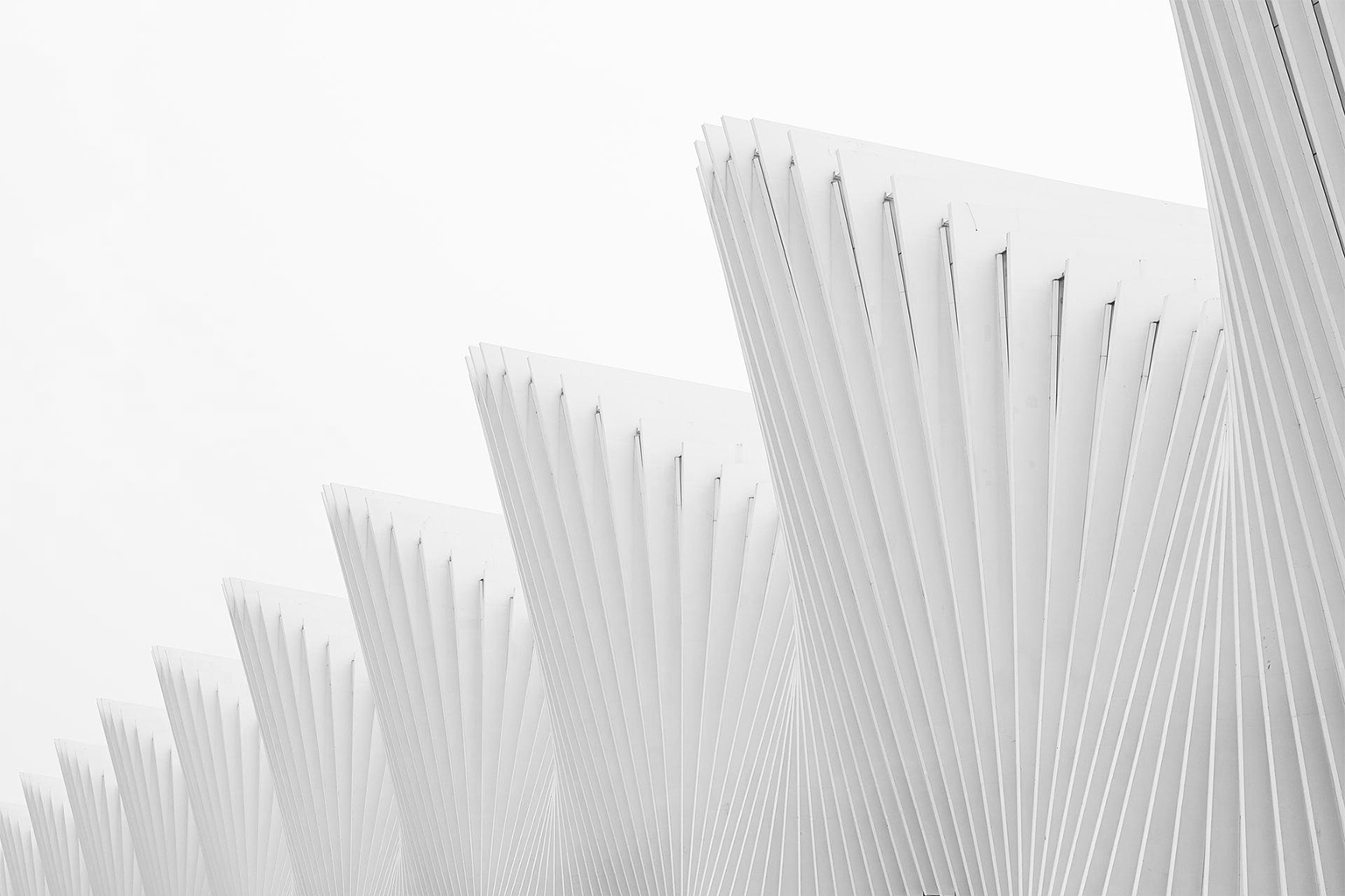 Minimalist e-commerce interface demonstrating white space conversions — negative space design strategy by Webifii digital agency 2026